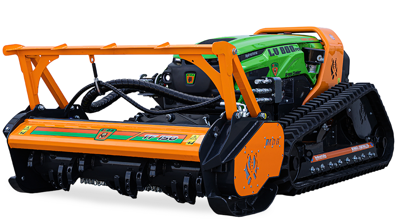 グリーンクライマー