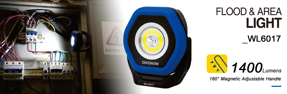 FLOOD & AREA LIGHT WL6017