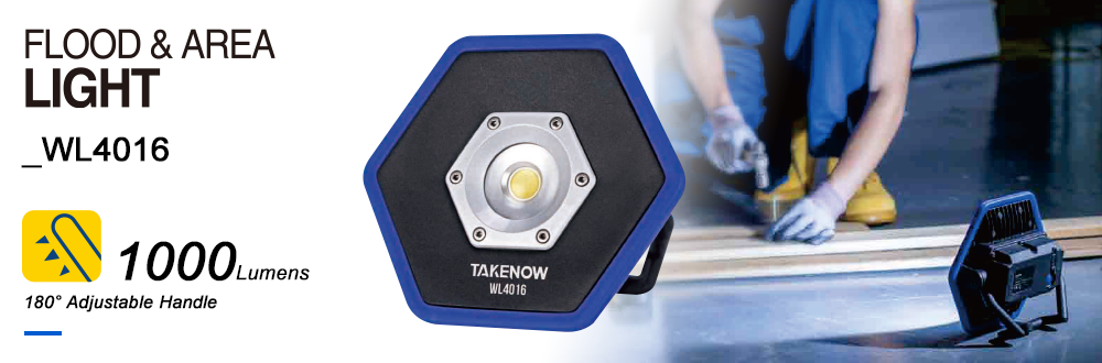FLOOD & AREA LIGHT WL4016