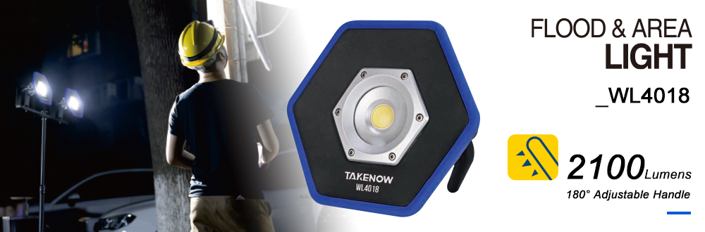FLOOD & AREA LIGHT WL4018