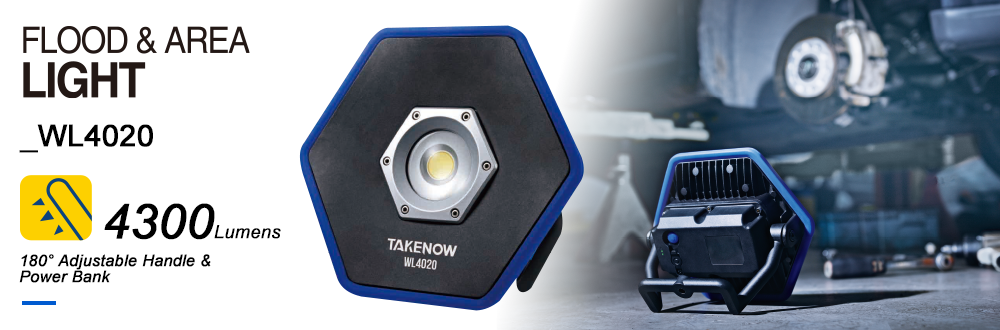 FLOOD & AREA LIGHT WL4020